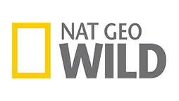 A csomag nem tartalmazza ezt a csatornát: National Geographic Wild